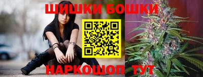 jwh Новозыбков